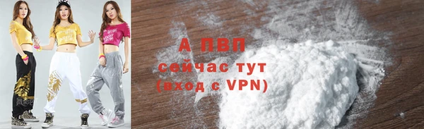сатива Белокуриха