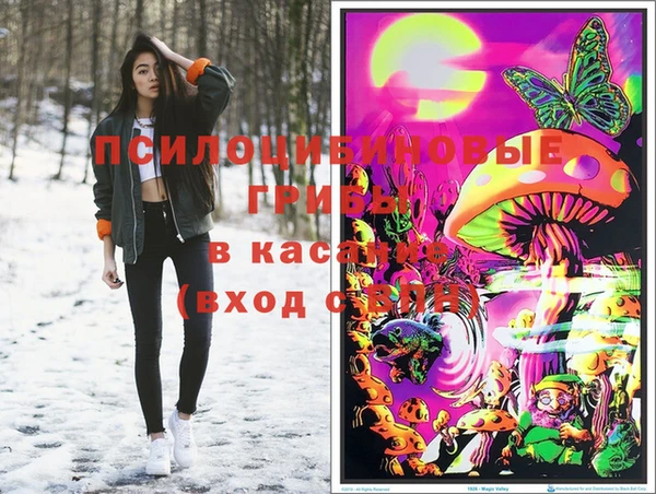 героин Богданович