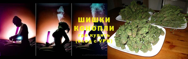 сатива Белокуриха