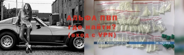 сатива Белокуриха
