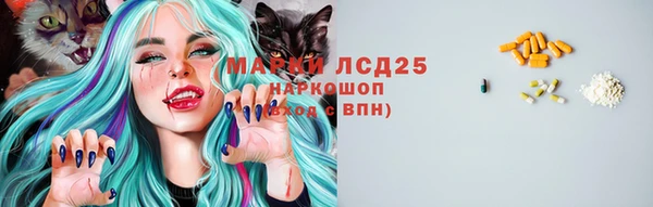 стаф Беломорск