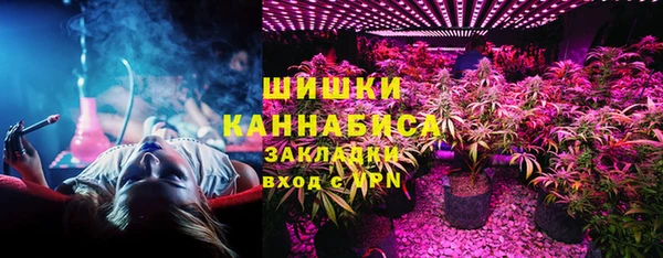 сатива Белокуриха
