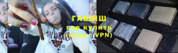 сатива Белокуриха