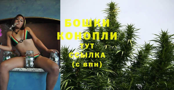 стаф Беломорск