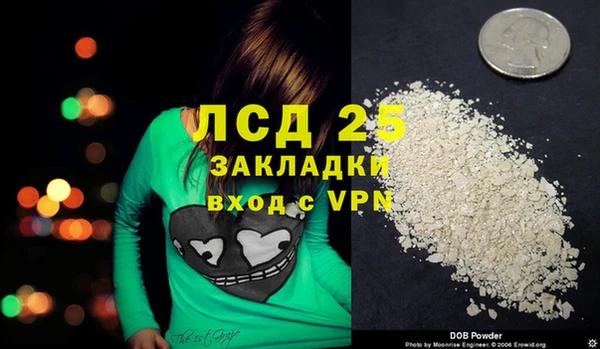 сатива Белокуриха