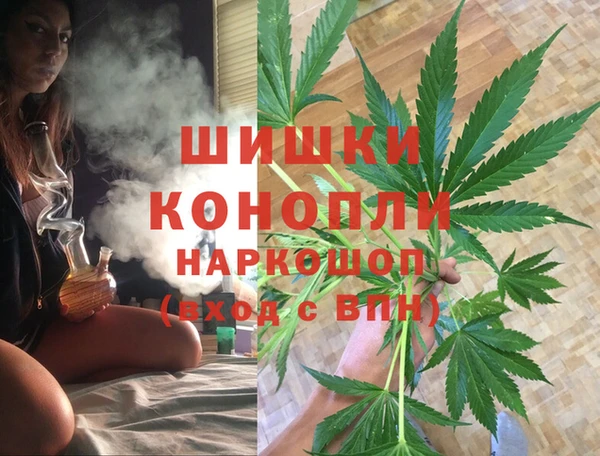 сатива Белокуриха