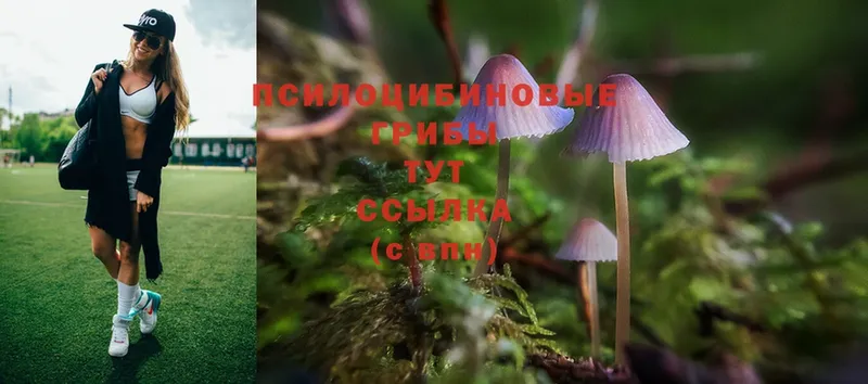 Псилоцибиновые грибы Psilocybine cubensis  mega сайт  Вуктыл 